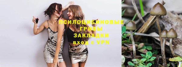 бутират Горно-Алтайск