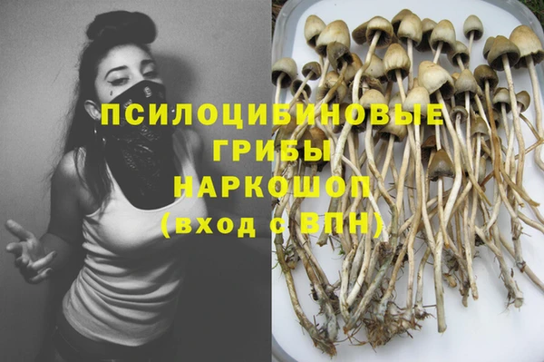 бутират Горно-Алтайск