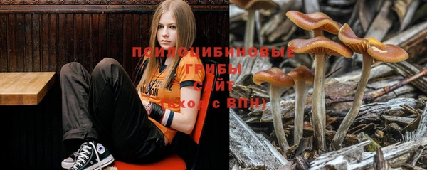 прущий лед Горнозаводск