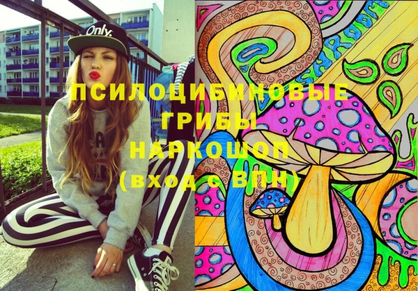 бутират Горно-Алтайск