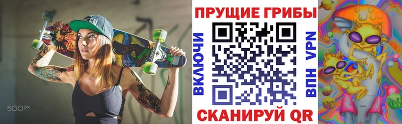 дарк нет телеграм  как найти наркотики  Нижневартовск  Псилоцибиновые грибы Psilocybine cubensis 